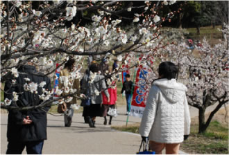 佐布里緑と花のふれあい公園｢梅の館｣