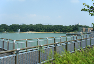 二ツ池公園（通年）